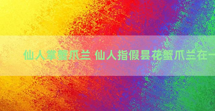 仙人掌蟹爪兰 仙人指假昙花蟹爪兰在一起嫁接